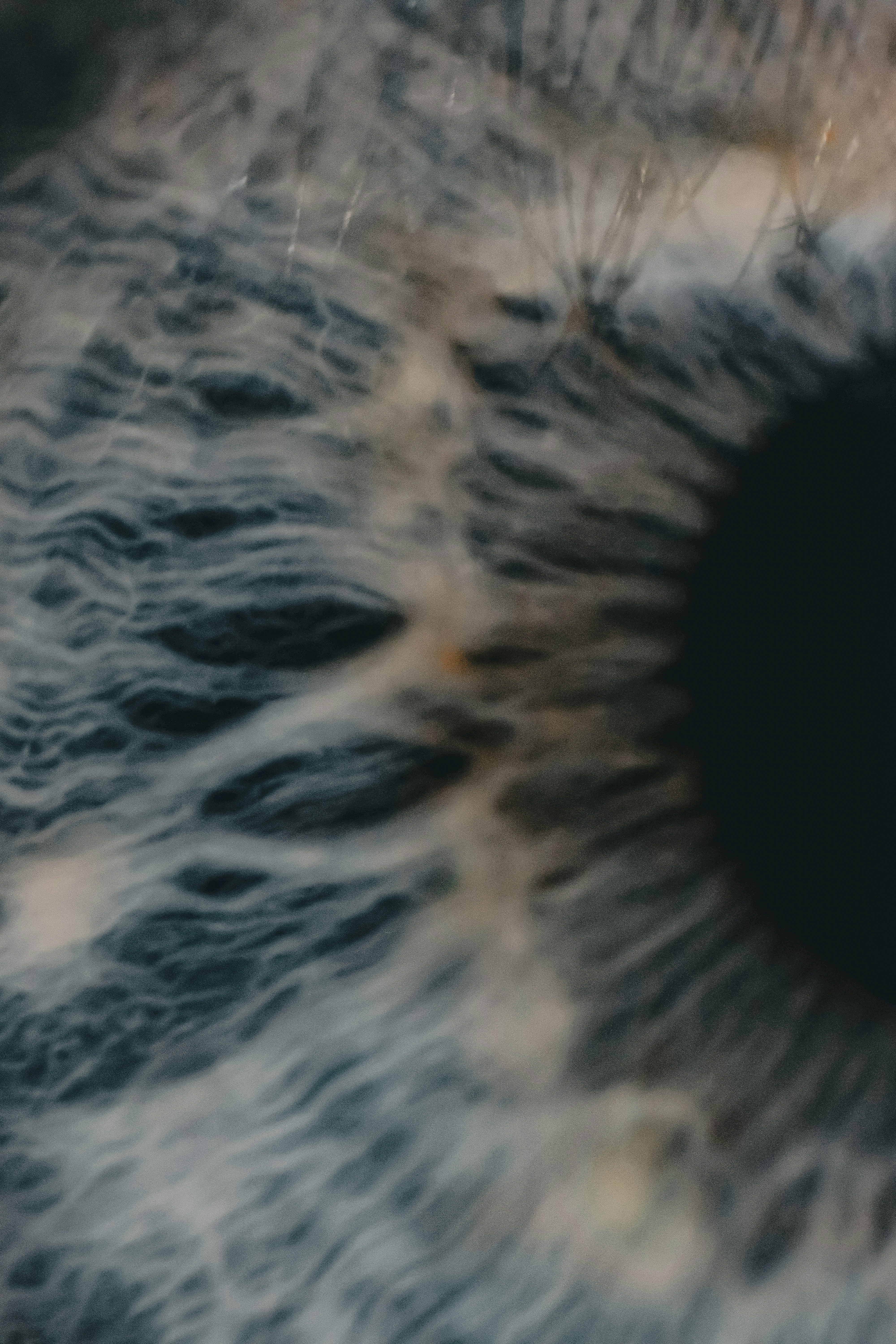 Magnified blue-grey organic tissue